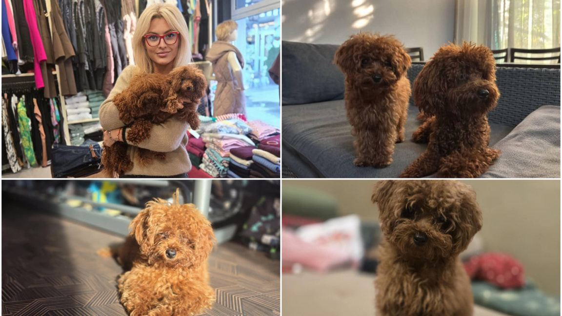 Трите "К" на щастието: Кристина, Капучино и Кики в едно семейно приключение