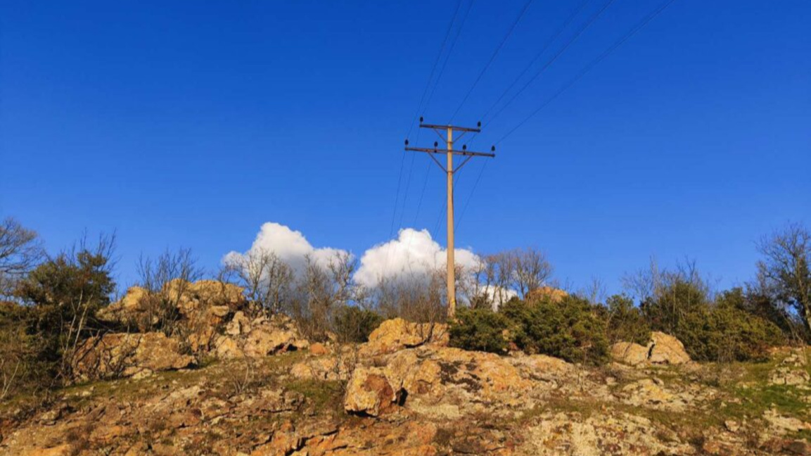 Безопасна мрежа за птиците в Югоизточна Европа