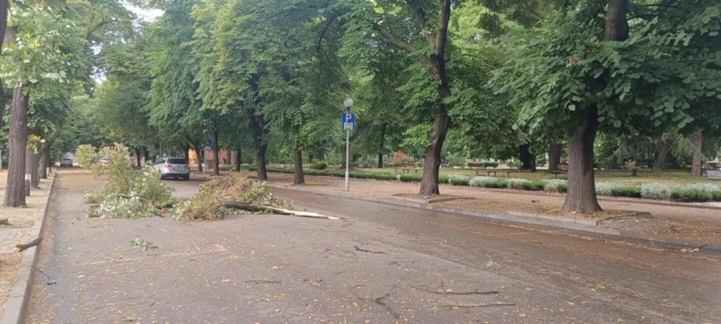 След бурята в Стара Загора: Счупени клони и дървета