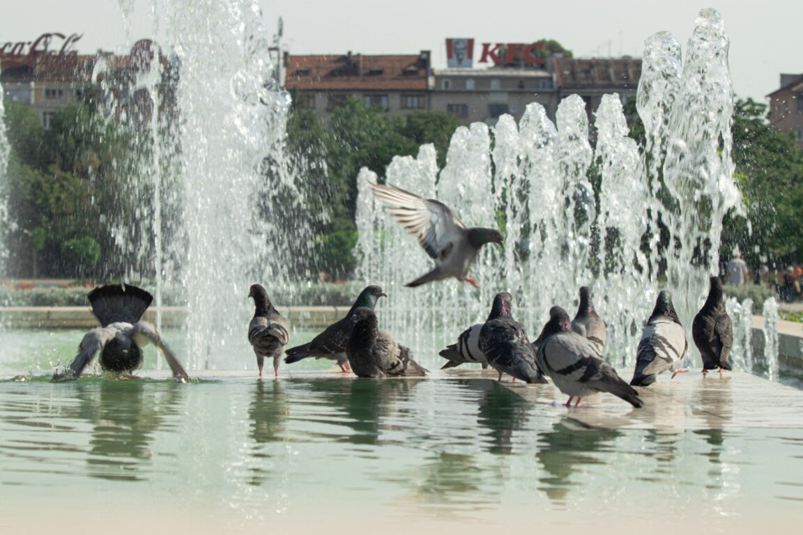 Wetteraussichten für Mittwoch, den 23. Juli