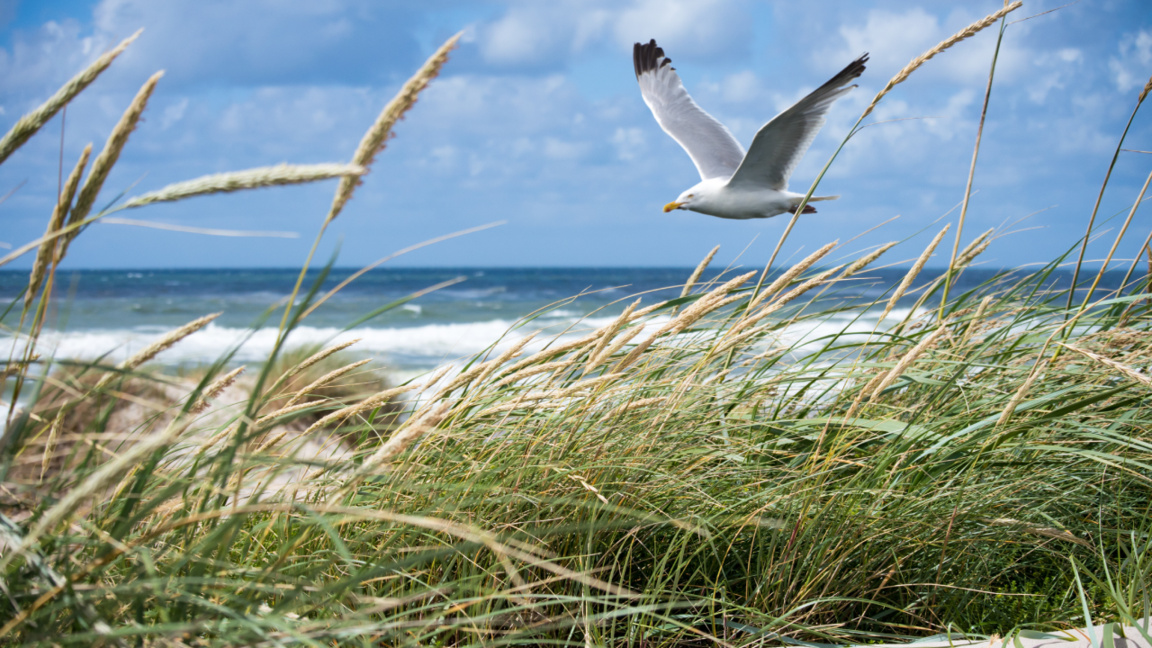 Sommer im Anmarsch