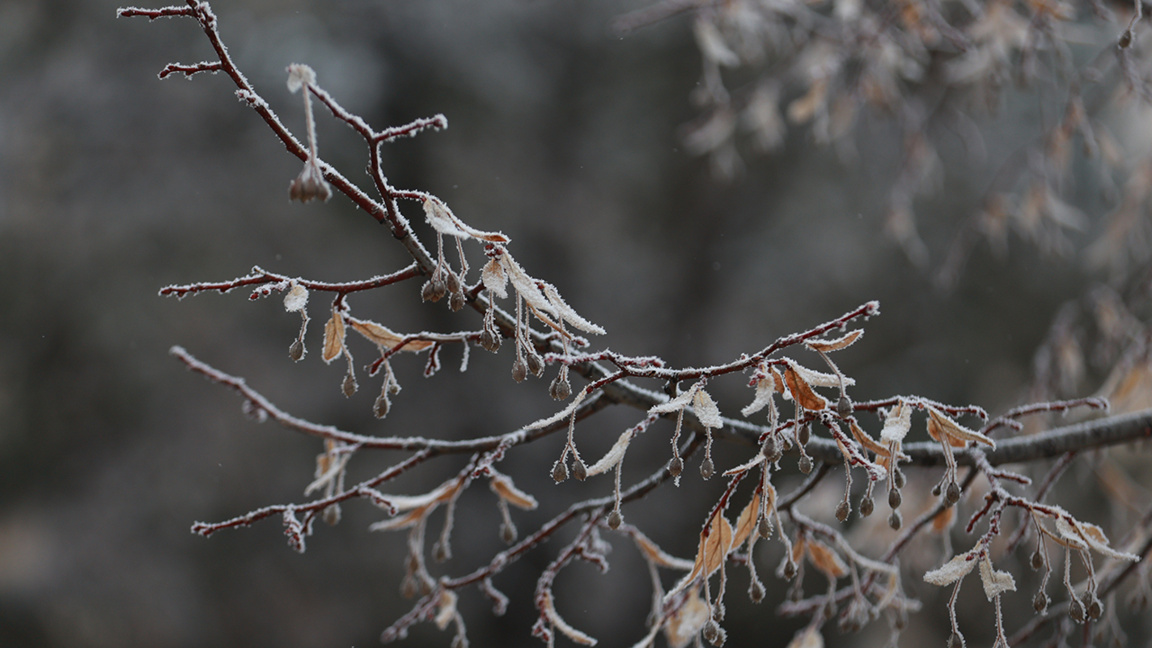 Мétéo : les température remontent