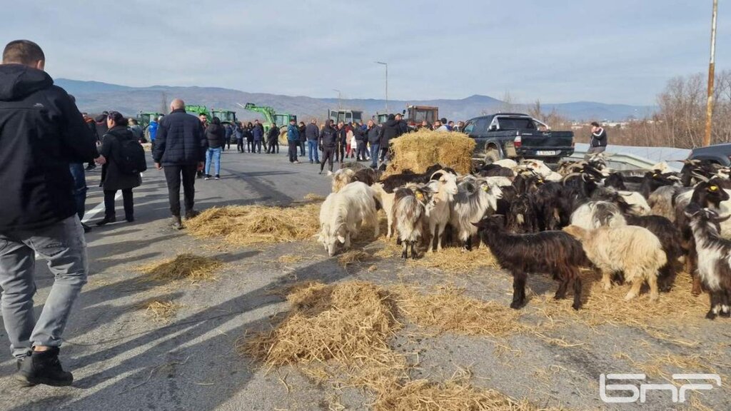 Николай Вълканов за смяната на земеделския министър: Причината са изборите. Важно е кой отпуска парите