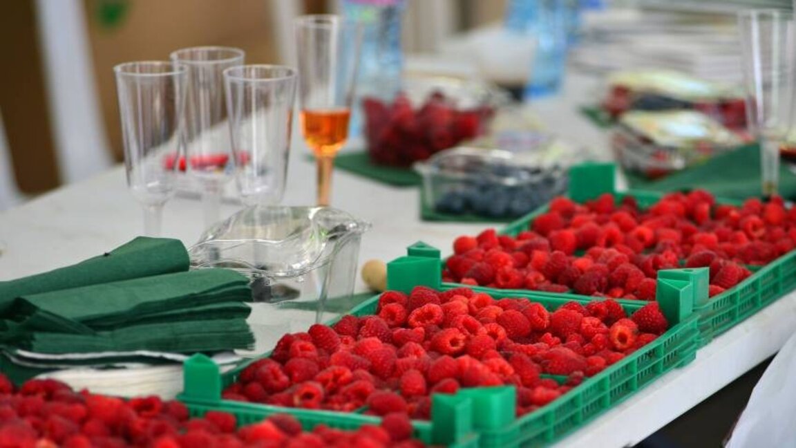 Loznitsa 9.su düzenlenen Ahududu Festivali’ne evsahipliği yapacak