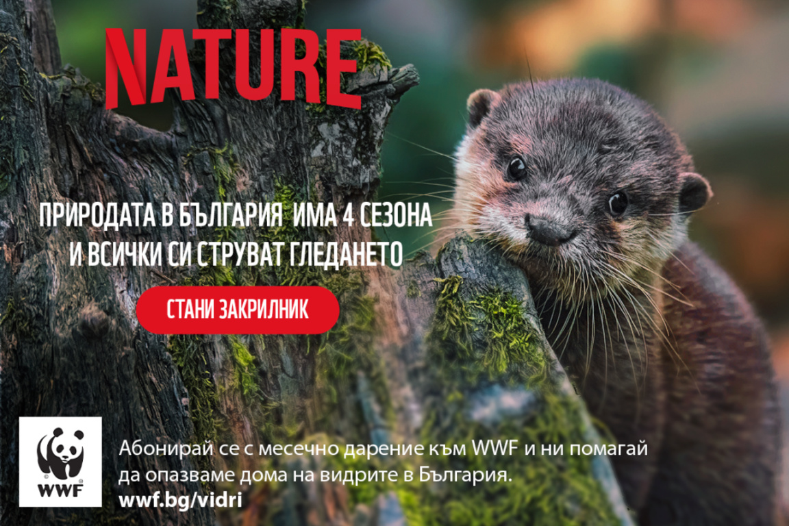 WWF стартира кампания за опазването на влажните зони у нас