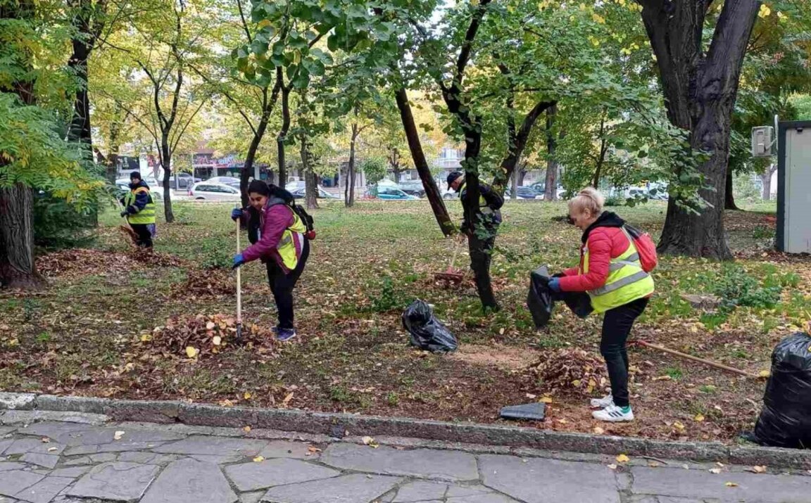Чистят и режат опасни дървета
