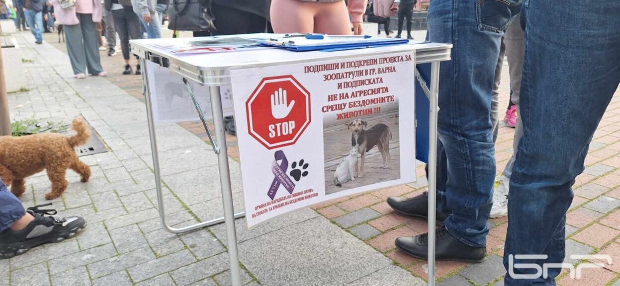 Във Варна над 500 души на протест срещу зверствата над животни и искане за строги наказания за насилниците