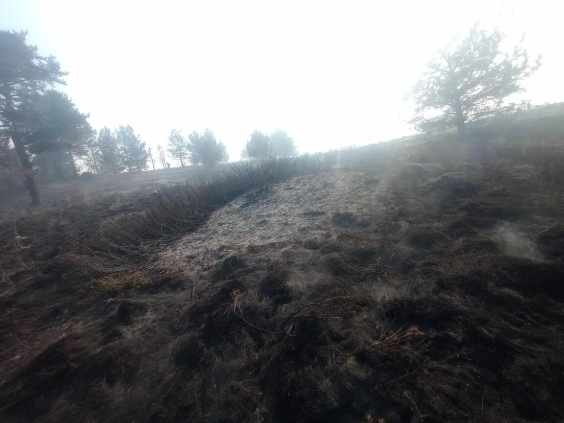 Продължава гасенето на пожара в Национален парк „Рила“