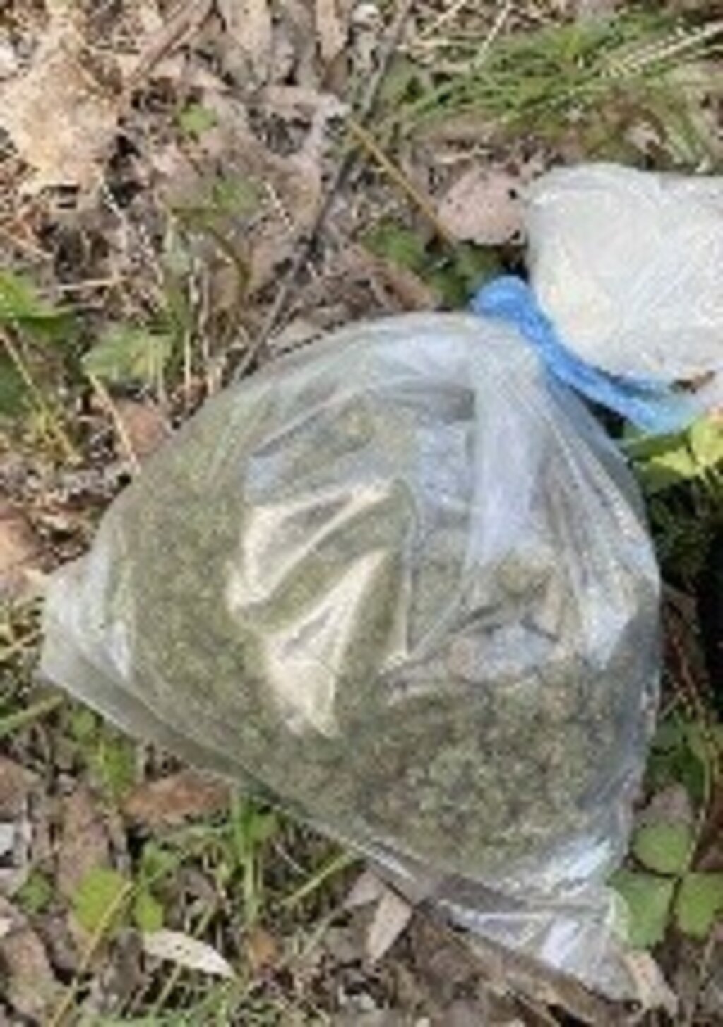 Трима наркодилъри задържаха в Пловдив, криели дрогата в тайници покрай Марица