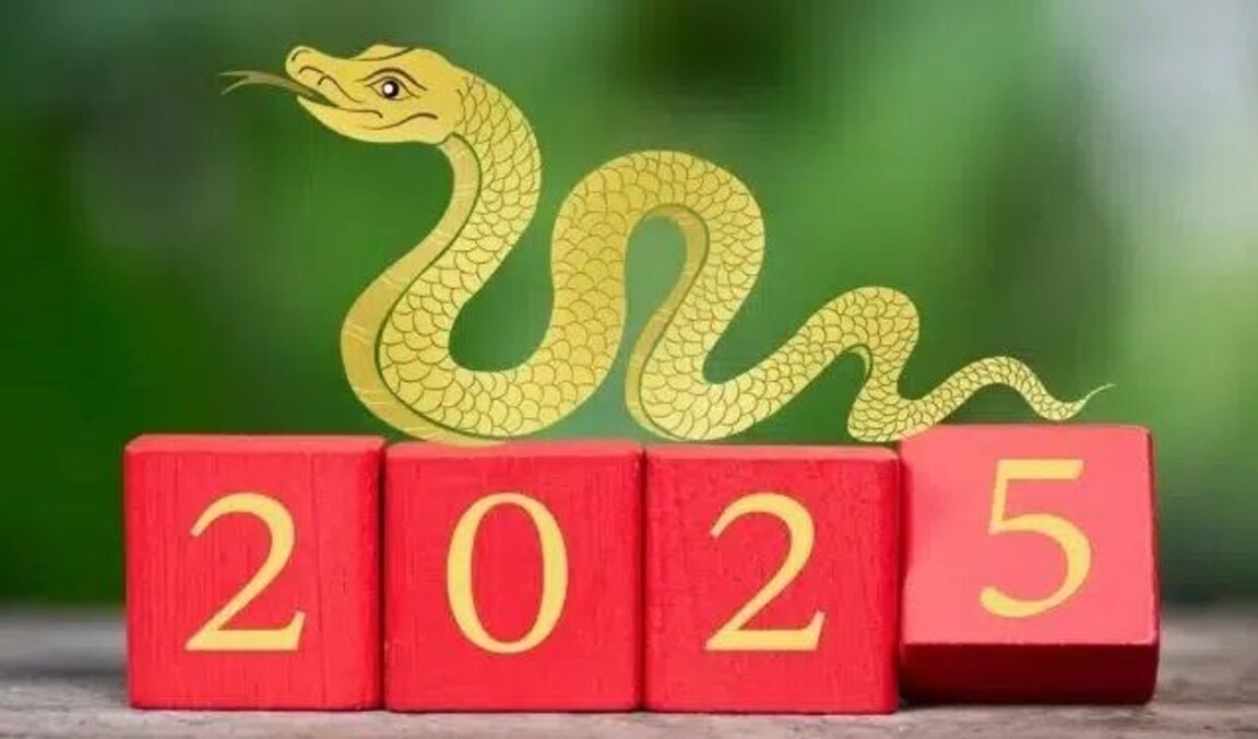 Какво ще ни донесе дървената змия през 2025 година