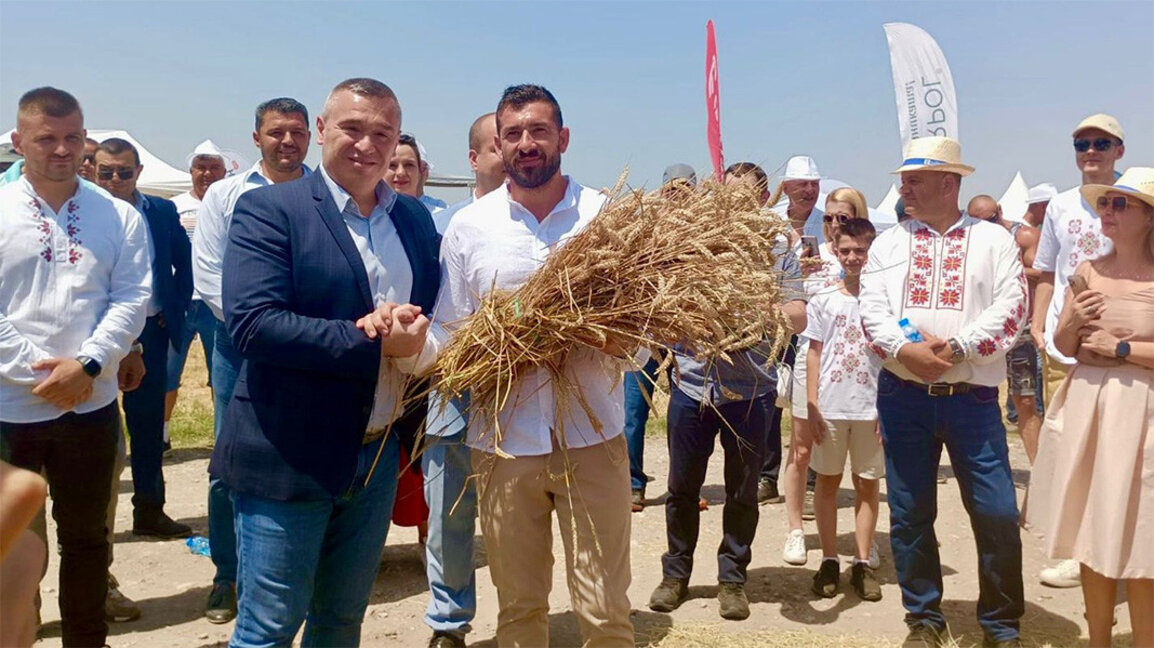Bulgaria espera más de 6 millones de toneladas de trigo en 2024, el país exporta a más de 30 países