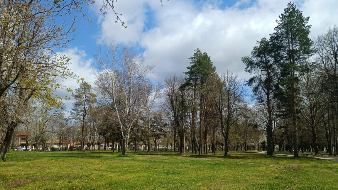 Слънчев вторник