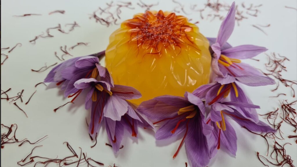 Gabriela Ilieva grows the "flower from heaven" in the Vratsa Balkan