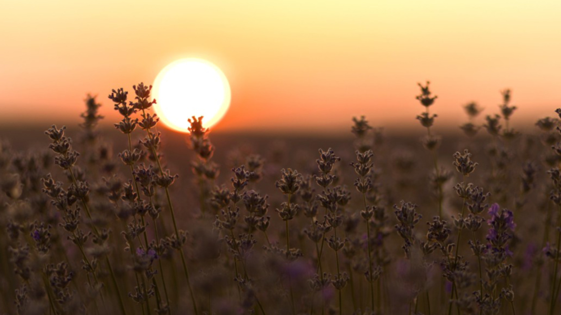 Очаква ни отново слънчев ден