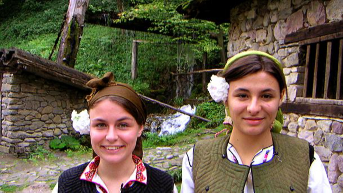 Постоји веровање да ако на Младенце девојка засади цвеће, оно ће расти лепо, а ако га носи у коси, мирисом цвећа очараће младе и старе људе