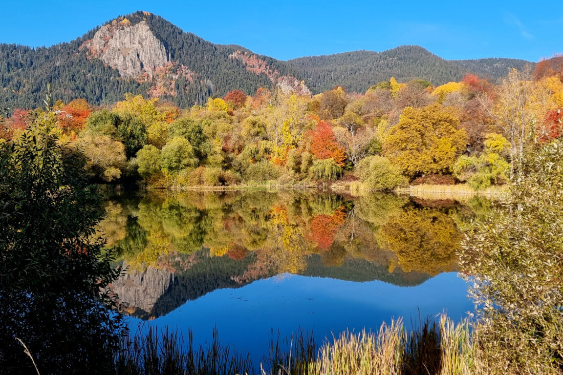 Parashikimi i motit për 15 tetorin