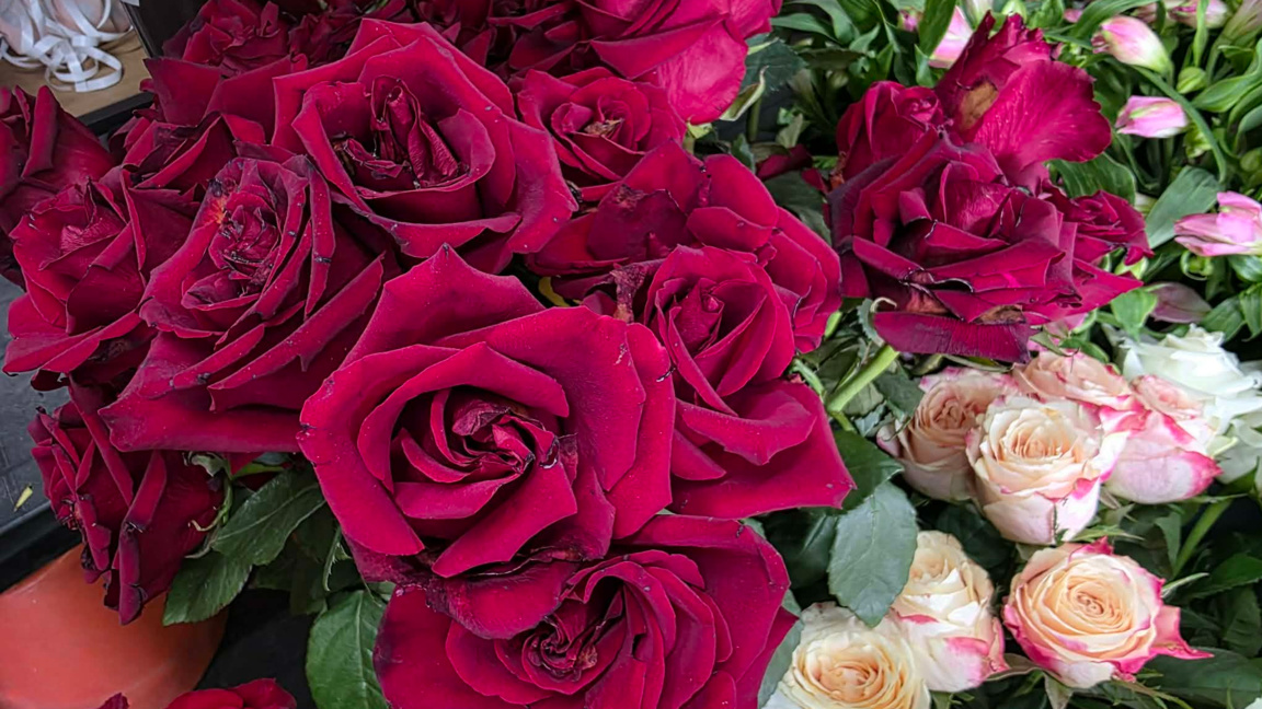 "С цвете в ръка" във Варна на 7 и 8 март