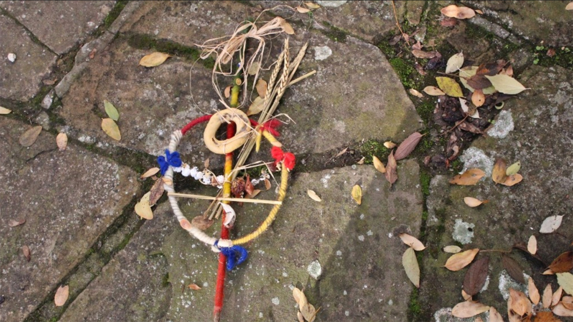 Branche de cornouiller magique pour des vœux de santé…