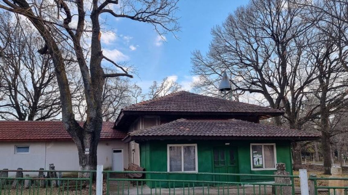 340 yıllık iki sapsız meşe ağacı Ludogortsi tarihinin sessiz tanıklarıdır