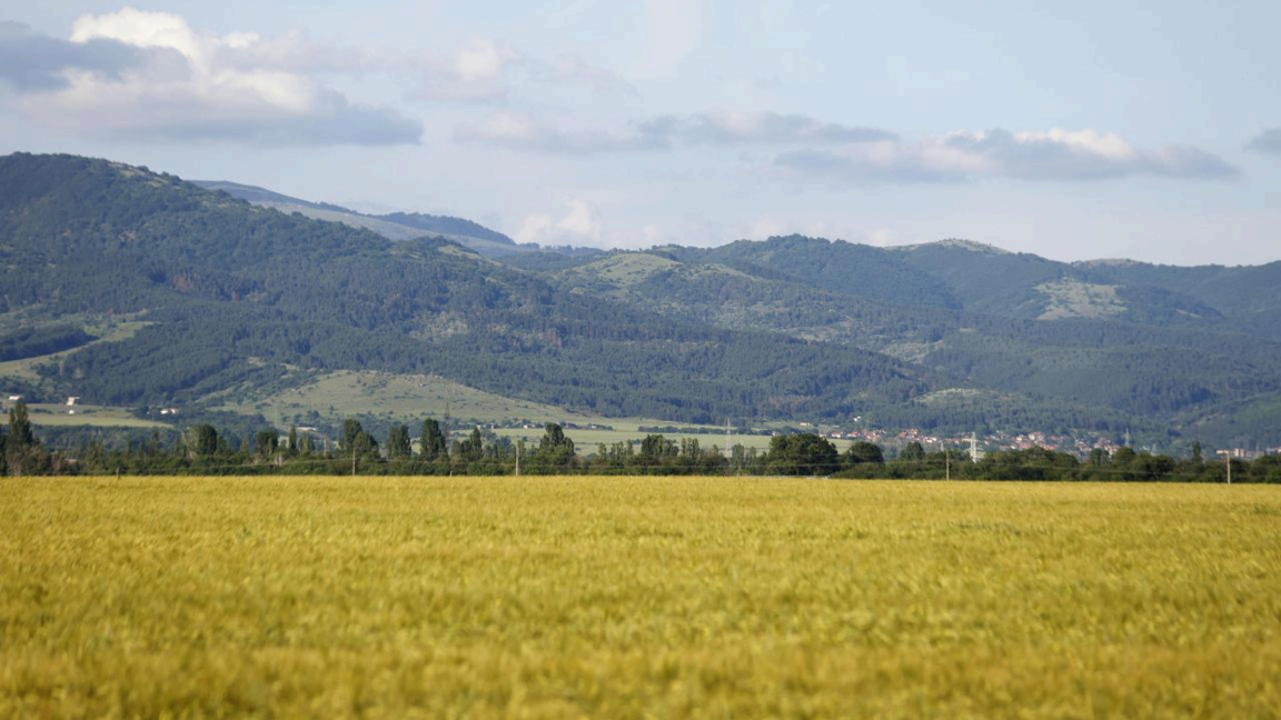 Météo: Soleil le matin, précipitations l'après-midi