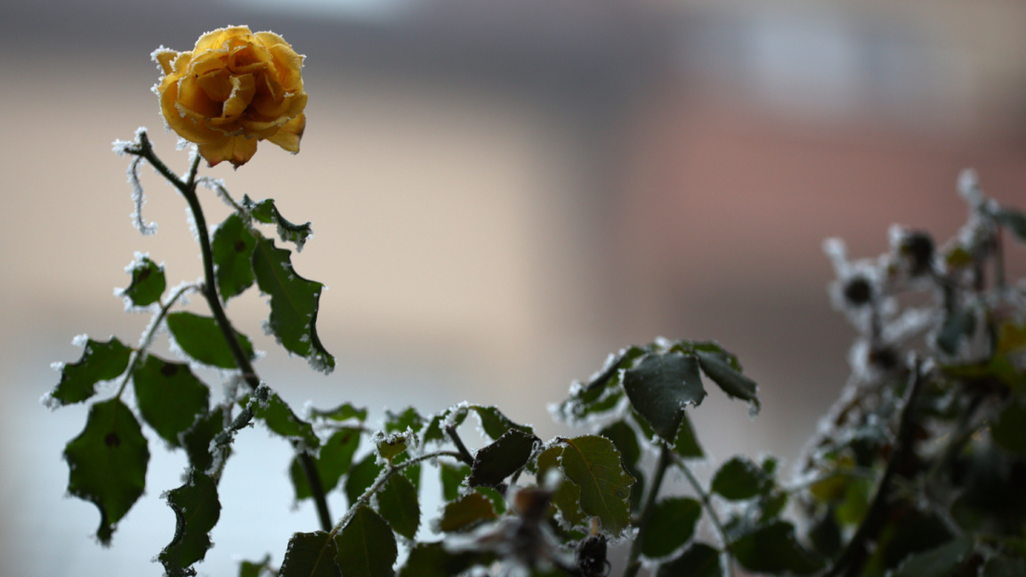 Brief showers in the east, sunny spells in the southwest expected on Tuesday