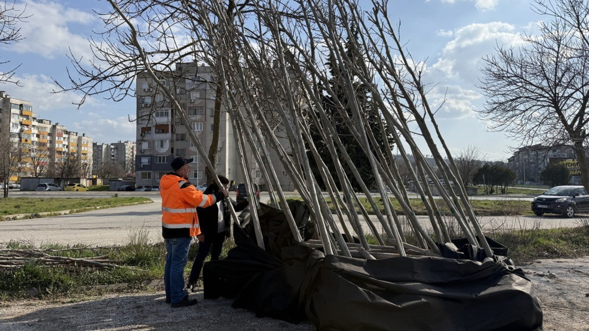 Започна пролетната залесителна кампания в Ямбол