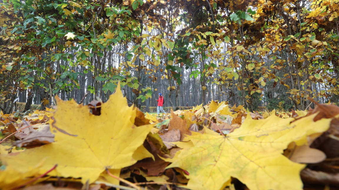 Sunshine and slightly higher daytime temperatures