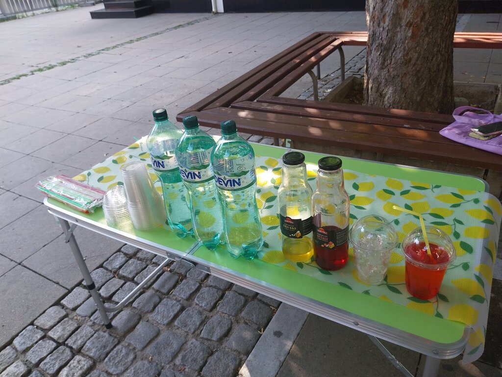 Три ученички събират средства за приюта за бездомни животни с домашна лимонада