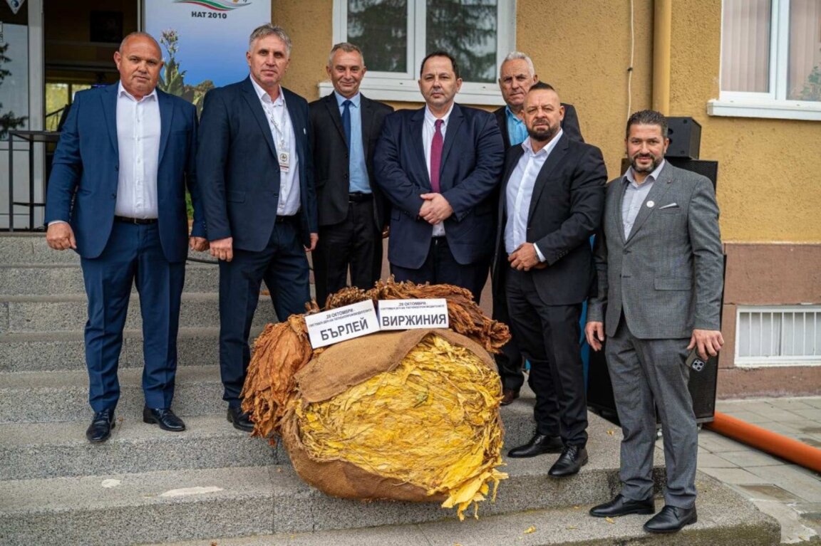 Секторът на тютюнопроизводителите очаква добра реколта и високи цени
