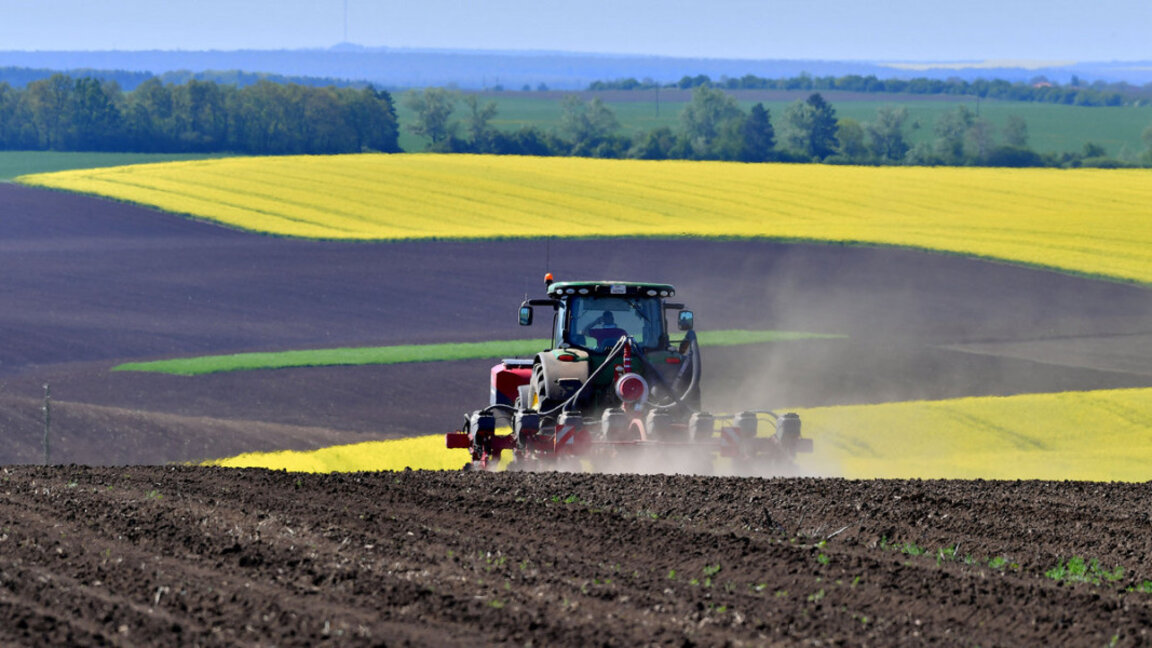 Рентите като ябълка на раздора