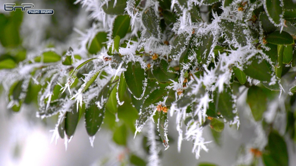 Wetteraussichten für Freitag, den 26. Dezember