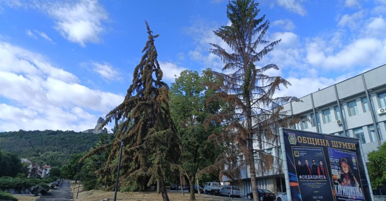 В петък следобед - от евро до екология
