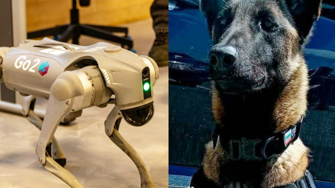 Customs dog and robot dog have exclusive meeting at Teen Boom Fest'26 in Burgas
