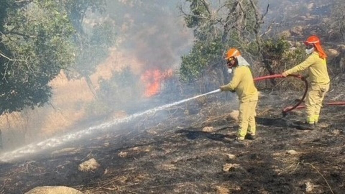 Турски екипи помагат за гасенето на пожара край Лесово.