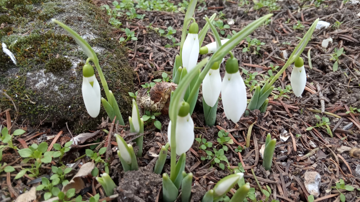 Облаци и слънце в сряда