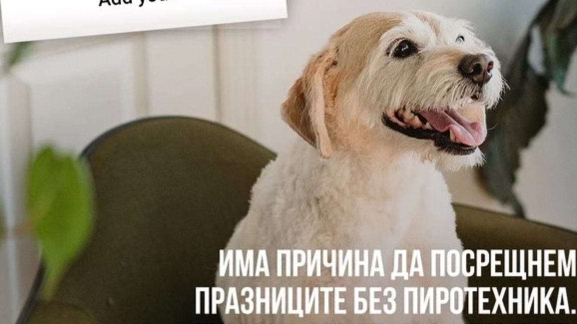 Тиха нощ за Новата година