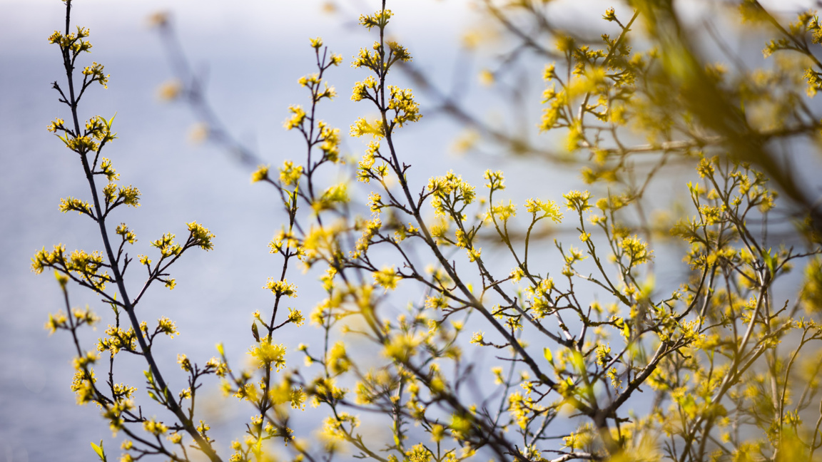 Wetteraussichten für Sonntag, den 12. April