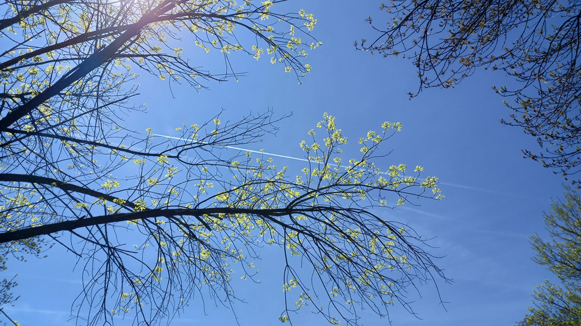 Wetteraussichten für Dienstag, den 28. April
