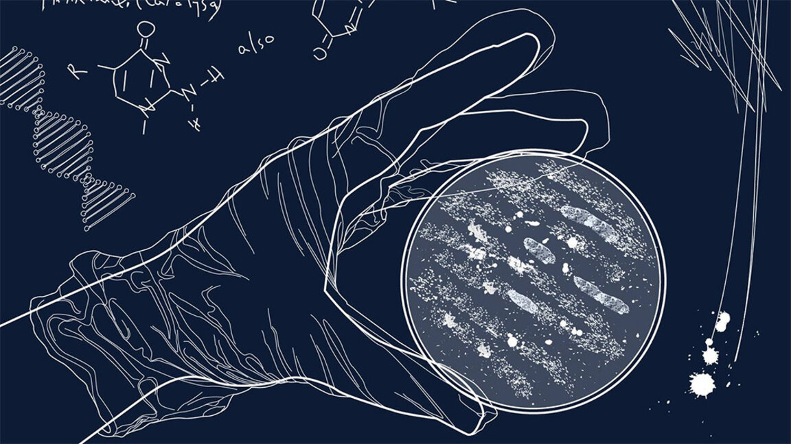 Presentan un modelo 3D del pájaro dodo en la Noche de los Científicos