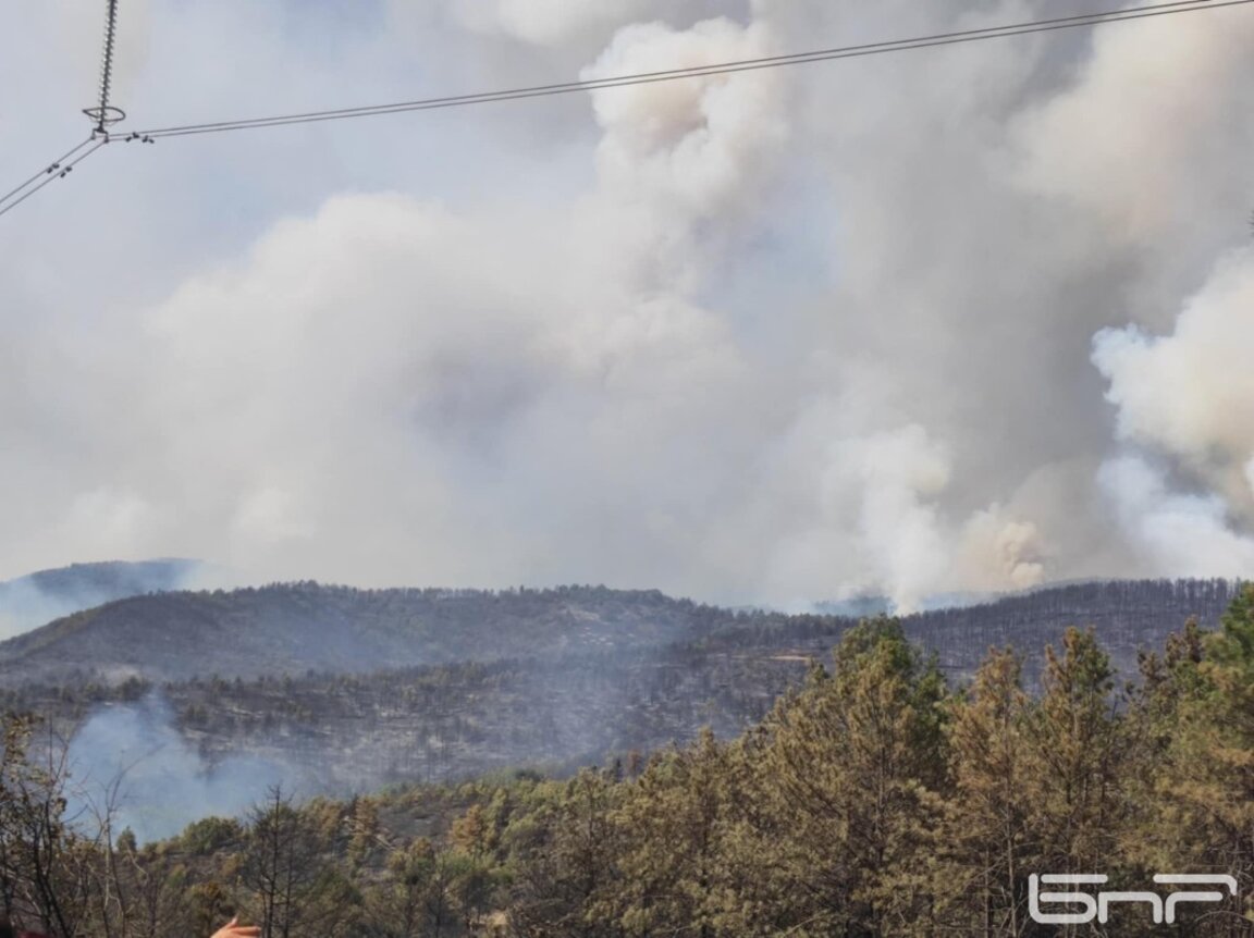 Главен комисар Александър Джартов: Пожарът над Илинденци е много тежък
