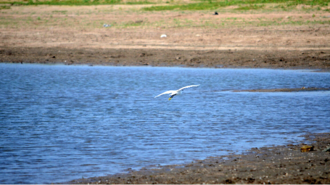 Очаква се да започне ремонт на деривациите към язовир "Рабиша"