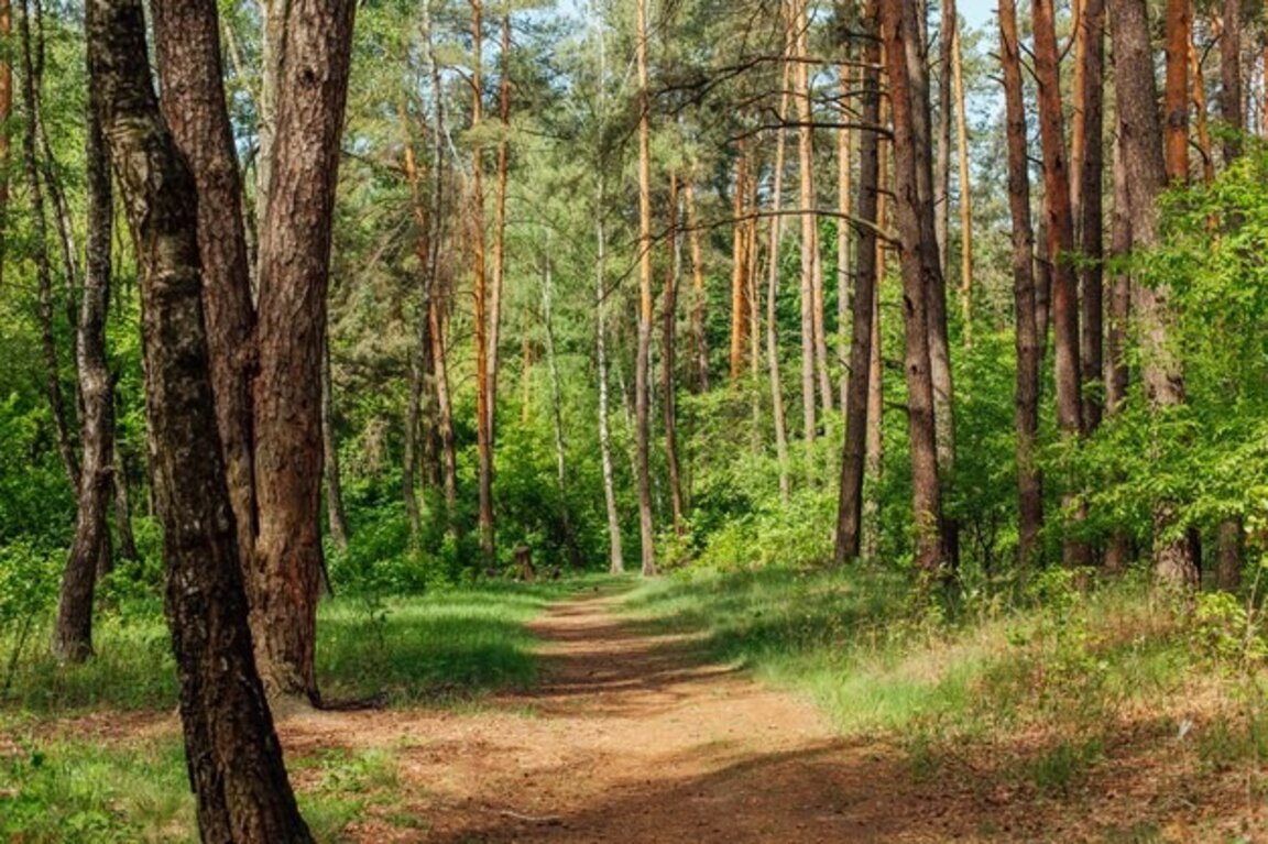 Слънце и по-ниски температури в сряда