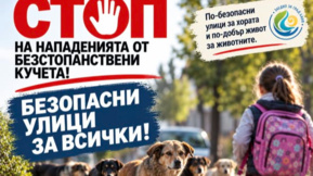 Безстопанствени кучета тревожат жителите и гостите на град Баня