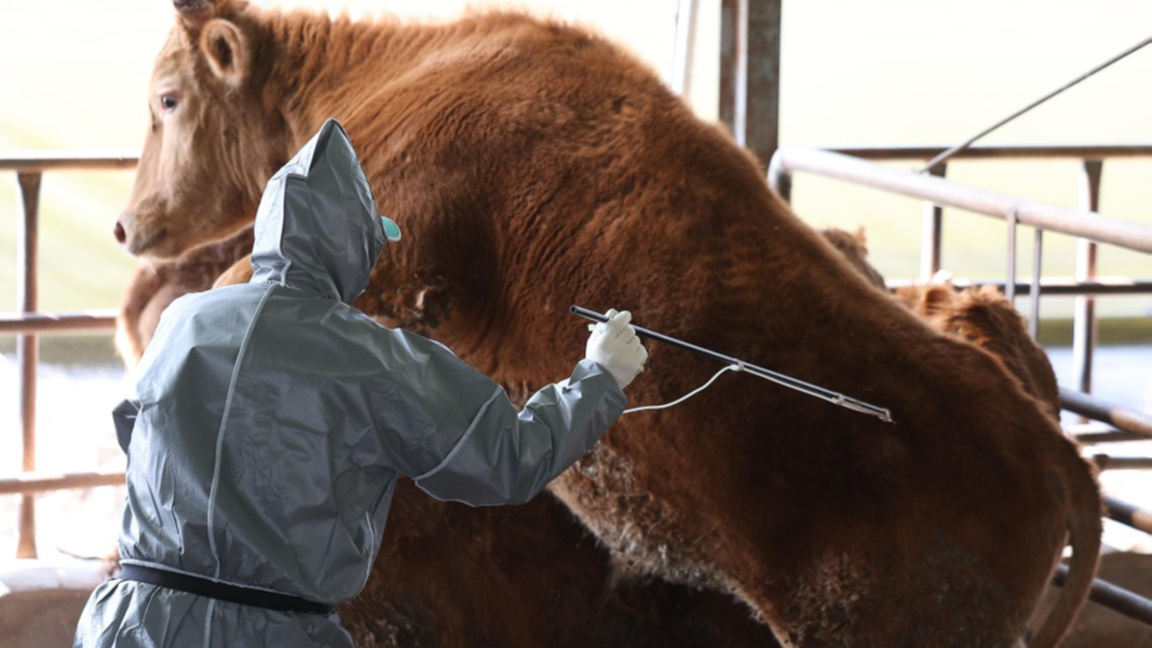 Фермерски протест в Кипър срещу мерките против шапа