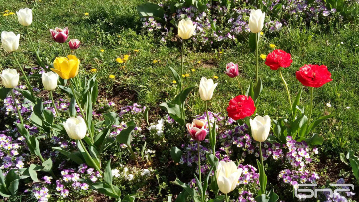 Wetteraussichten für Freitag, den 25. April