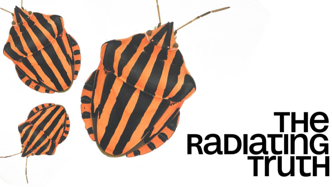 Изложба на швейцарската научна илюстраторка Корнелия Хесе-Хонегер