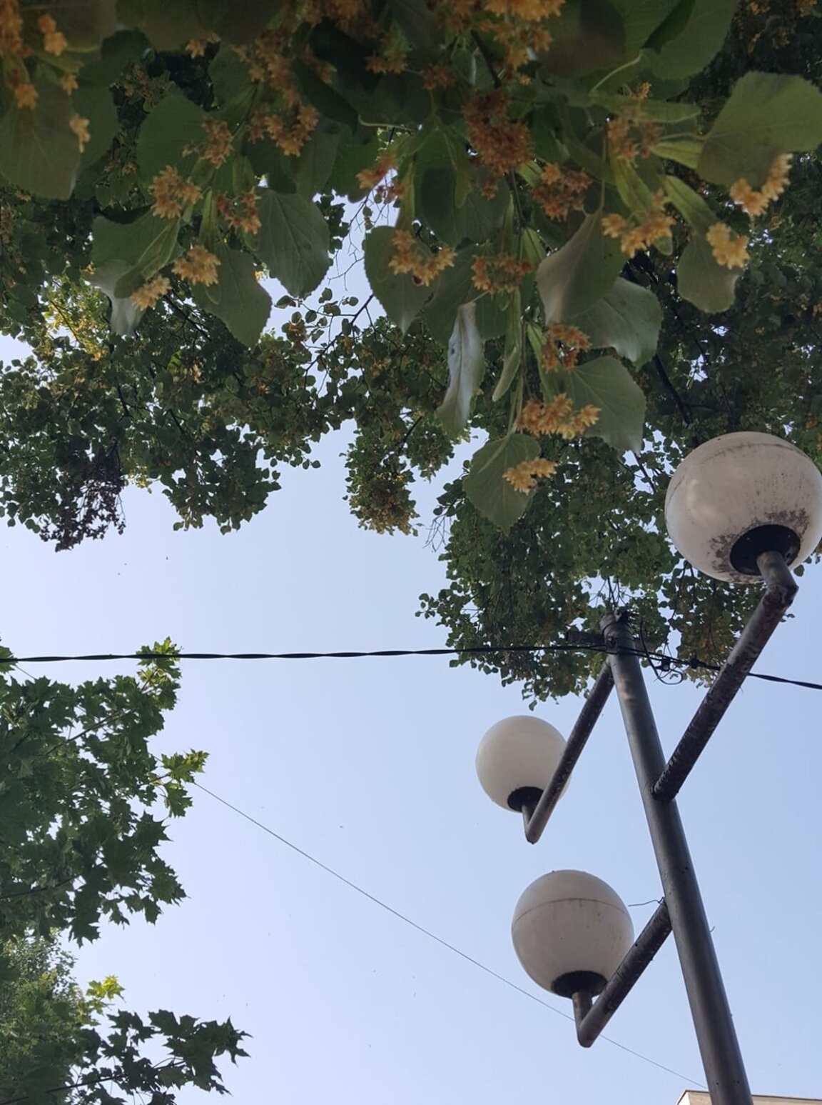 Ново осветление в Омуртаг
