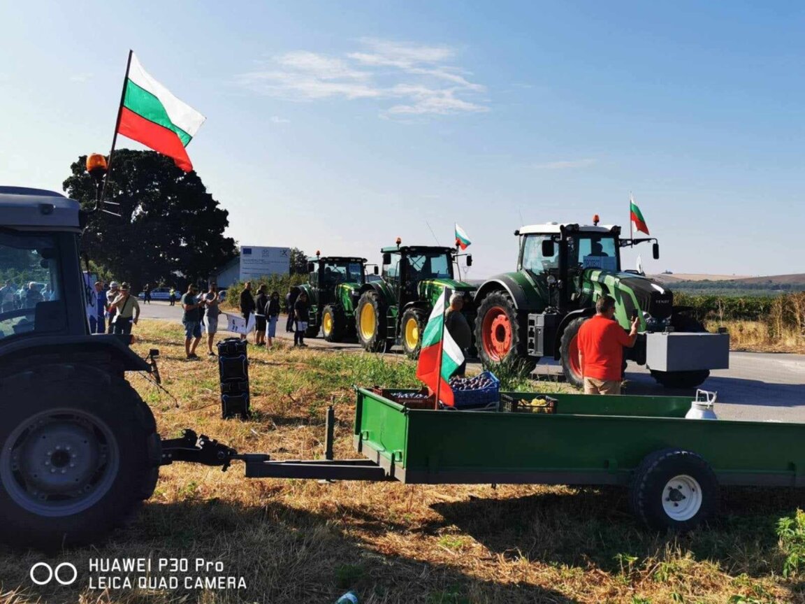 Субсидиите - слонът в стаята за европейското и българското земеделие