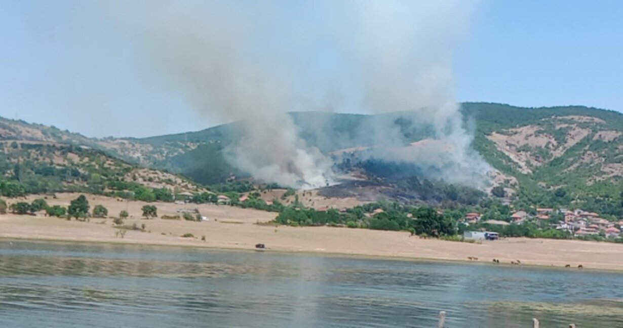 Пожар гори край село Звезделина