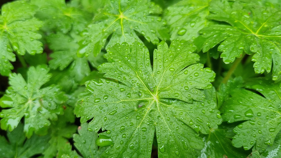„Посоките на деня“ с Мария Благоева